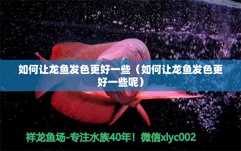 如何讓龍魚發(fā)色更好一些（如何讓龍魚發(fā)色更好一些呢）