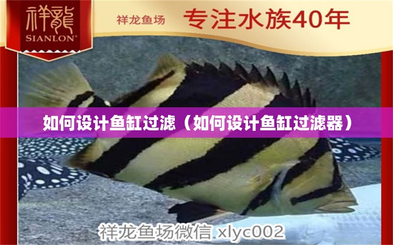 如何設(shè)計(jì)魚缸過濾（如何設(shè)計(jì)魚缸過濾器） 丹頂錦鯉魚