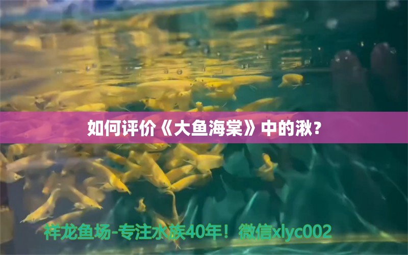 如何評價《大魚海棠》中的湫？ 朱巴利魚苗