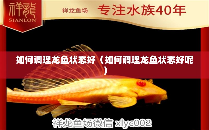 如何調(diào)理龍魚狀態(tài)好（如何調(diào)理龍魚狀態(tài)好呢）