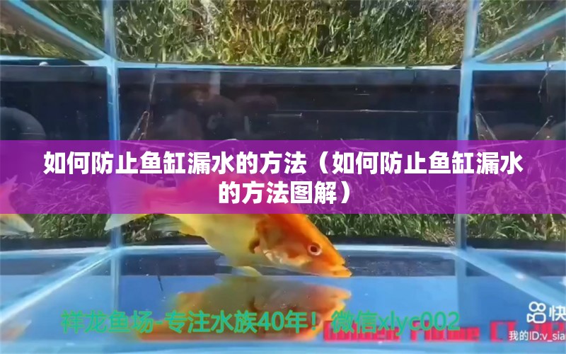 如何防止魚缸漏水的方法（如何防止魚缸漏水的方法圖解）