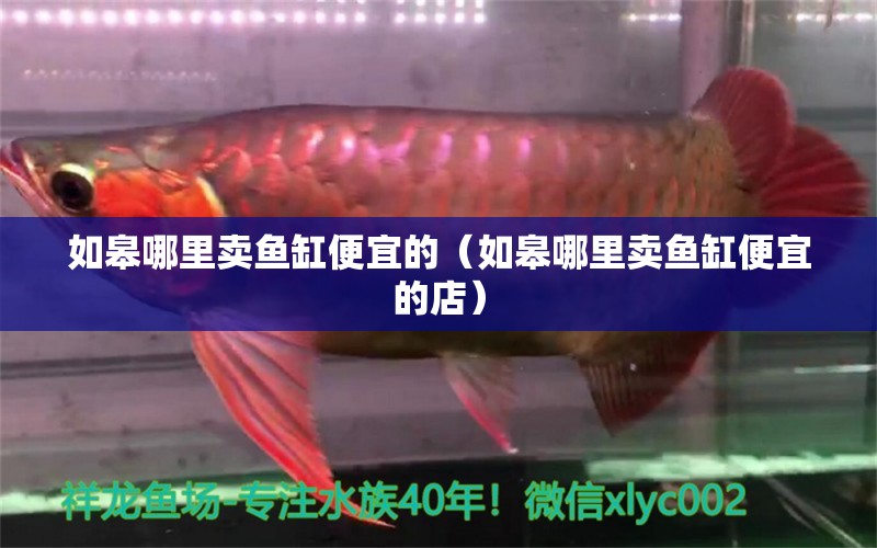 如皋哪里賣魚缸便宜的（如皋哪里賣魚缸便宜的店）