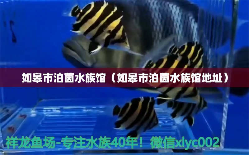 如皋市泊茵水族館（如皋市泊茵水族館地址） 全國水族館企業(yè)名錄