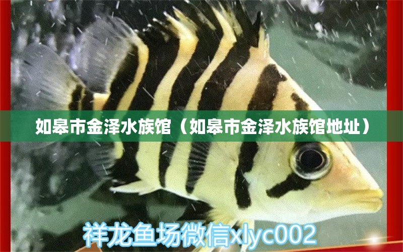 如皋市金澤水族館（如皋市金澤水族館地址） 全國水族館企業(yè)名錄