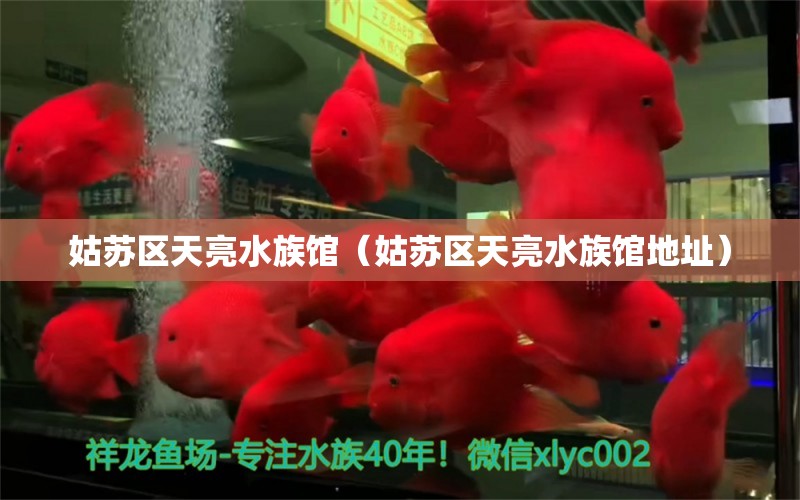 姑蘇區(qū)天亮水族館（姑蘇區(qū)天亮水族館地址）