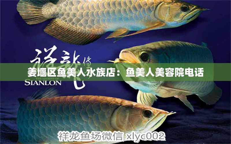 姜堰區(qū)魚美人水族店：魚美人美容院電話