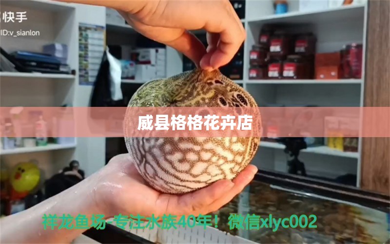 威縣格格花卉店