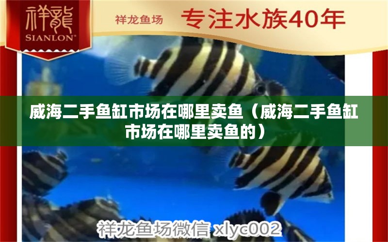 威海二手魚缸市場(chǎng)在哪里賣魚（威海二手魚缸市場(chǎng)在哪里賣魚的）