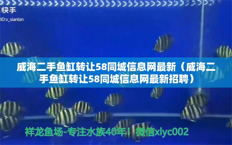 威海二手魚缸轉(zhuǎn)讓58同城信息網(wǎng)最新（威海二手魚缸轉(zhuǎn)讓58同城信息網(wǎng)最新招聘）