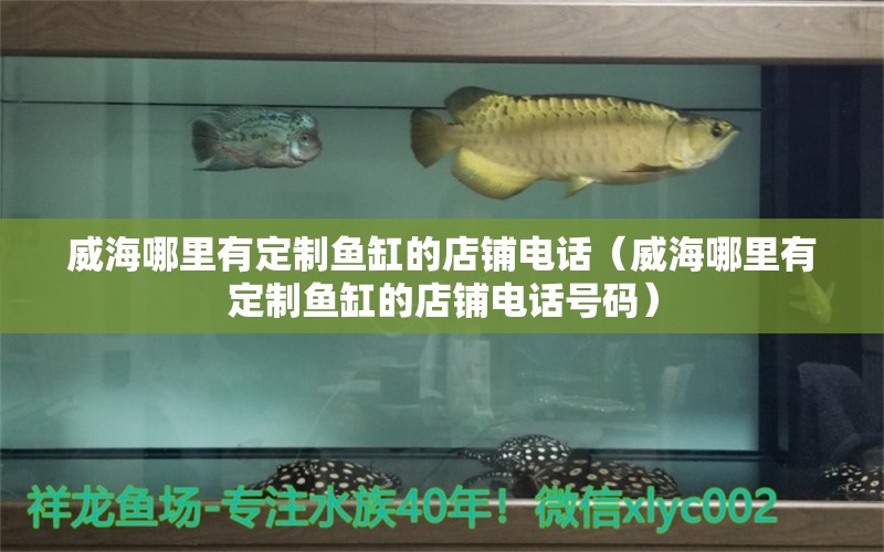 威海哪里有定制魚缸的店鋪電話（威海哪里有定制魚缸的店鋪電話號(hào)碼）