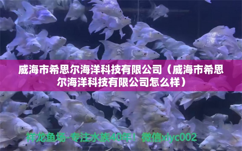 威海市希思爾海洋科技有限公司（威海市希思爾海洋科技有限公司怎么樣）