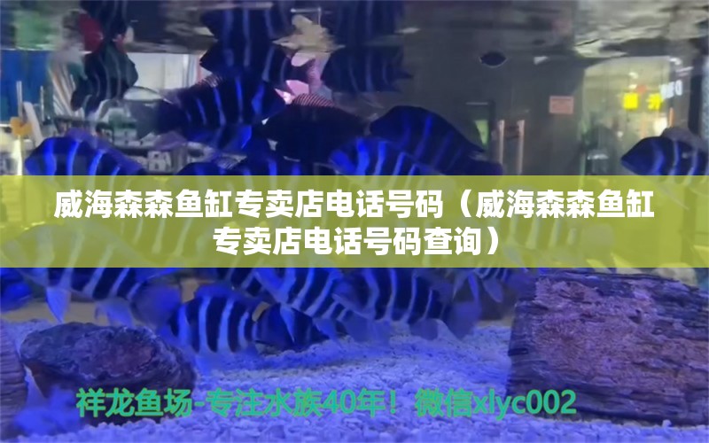 威海森森魚缸專賣店電話號碼（威海森森魚缸專賣店電話號碼查詢） 錦鯉池魚池建設