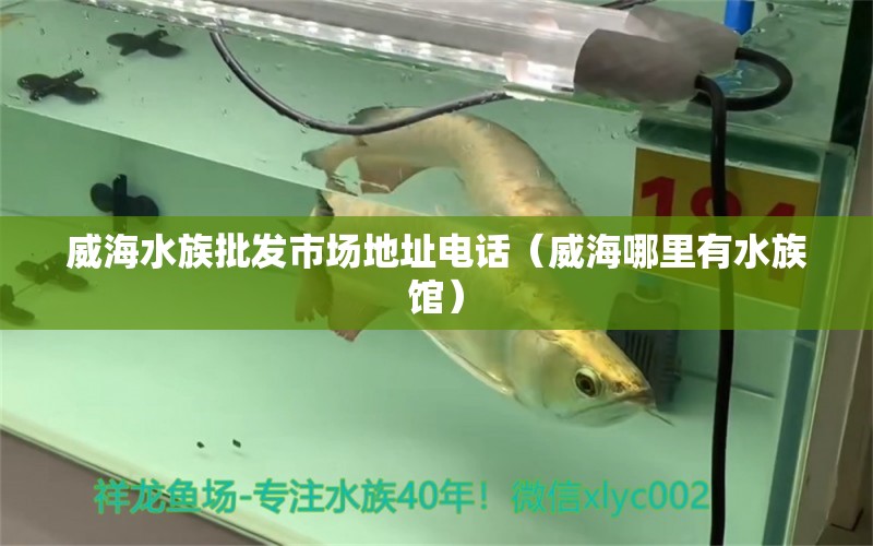 威海水族批發(fā)市場地址電話（威海哪里有水族館） 觀賞魚水族批發(fā)市場