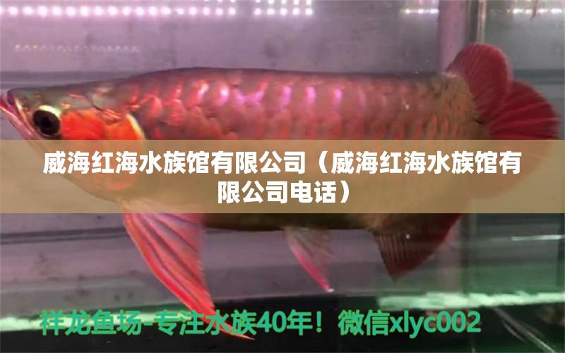 威海紅海水族館有限公司（威海紅海水族館有限公司電話） 全國水族館企業(yè)名錄