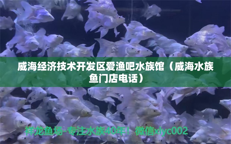 威海經(jīng)濟技術(shù)開發(fā)區(qū)愛漁吧水族館（威海水族魚門店電話） 全國水族館企業(yè)名錄