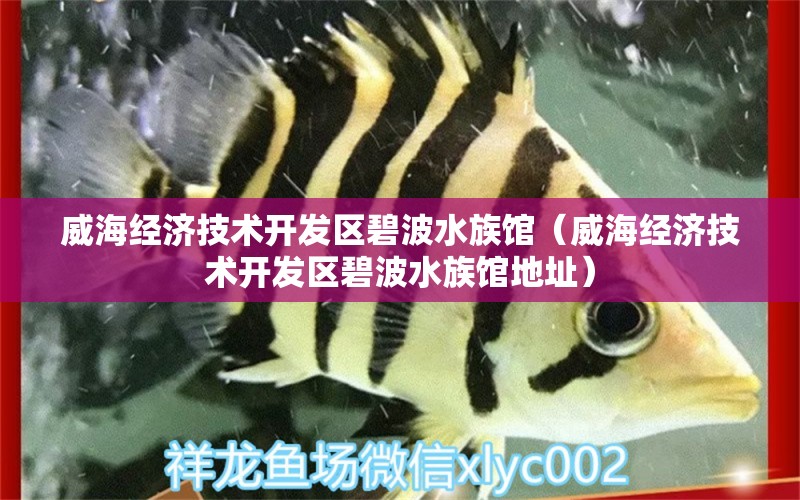 威海經(jīng)濟技術(shù)開發(fā)區(qū)碧波水族館（威海經(jīng)濟技術(shù)開發(fā)區(qū)碧波水族館地址）