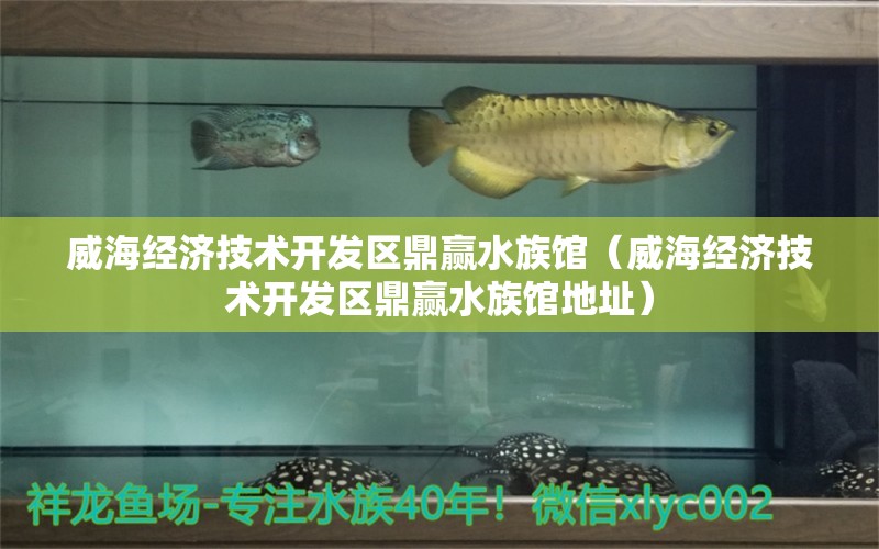 威海經(jīng)濟(jì)技術(shù)開發(fā)區(qū)鼎贏水族館（威海經(jīng)濟(jì)技術(shù)開發(fā)區(qū)鼎贏水族館地址） 全國(guó)水族館企業(yè)名錄