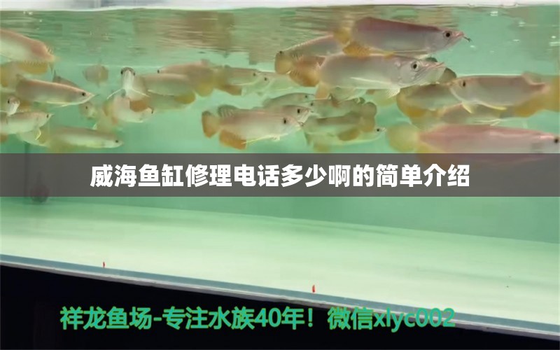 威海魚缸修理電話多少啊的簡(jiǎn)單介紹 網(wǎng)上購(gòu)買觀賞魚