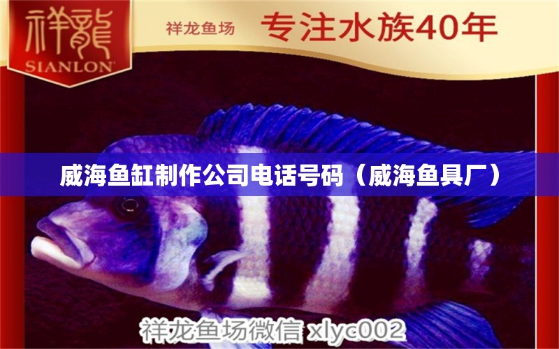 威海魚缸制作公司電話號(hào)碼（威海魚具廠） 非洲金鼓魚