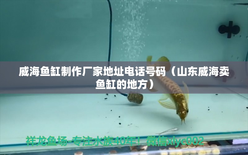 威海魚缸制作廠家地址電話號碼（山東威海賣魚缸的地方）