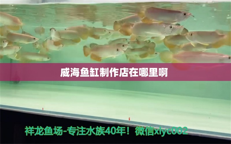 威海魚缸制作店在哪里啊 