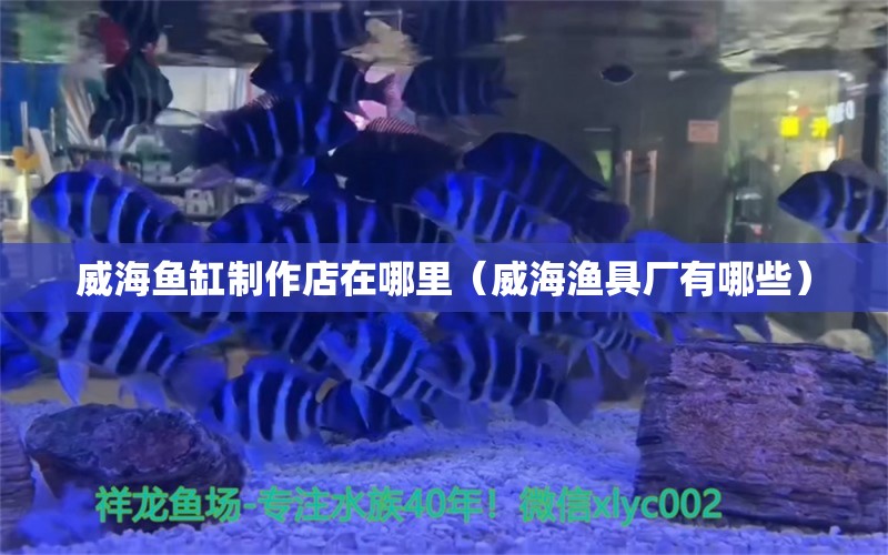 威海魚缸制作店在哪里（威海漁具廠有哪些）