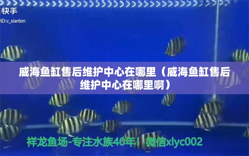 威海魚缸售后維護(hù)中心在哪里（威海魚缸售后維護(hù)中心在哪里?。?其他品牌魚缸