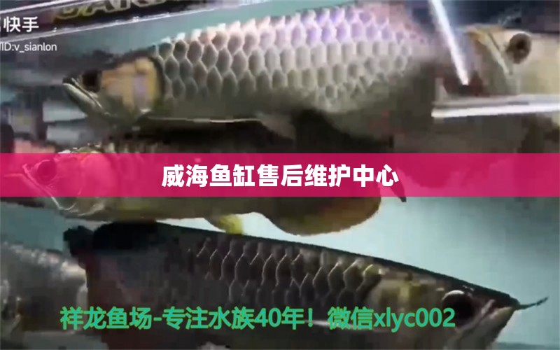 威海魚缸售后維護(hù)中心