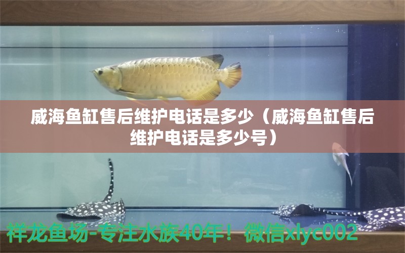 威海魚缸售后維護(hù)電話是多少（威海魚缸售后維護(hù)電話是多少號(hào)）