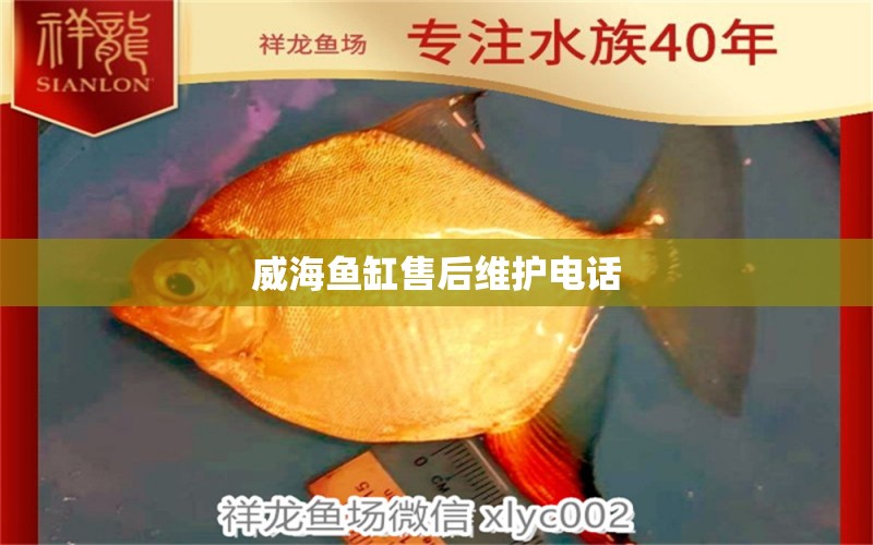 威海魚缸售后維護(hù)電話