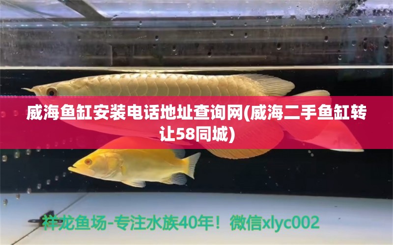 威海魚缸安裝電話地址查詢網(wǎng)(威海二手魚缸轉(zhuǎn)讓58同城) 祥龍金禾金龍魚