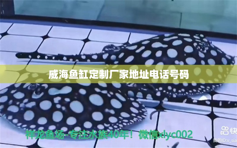 威海魚缸定制廠家地址電話號碼