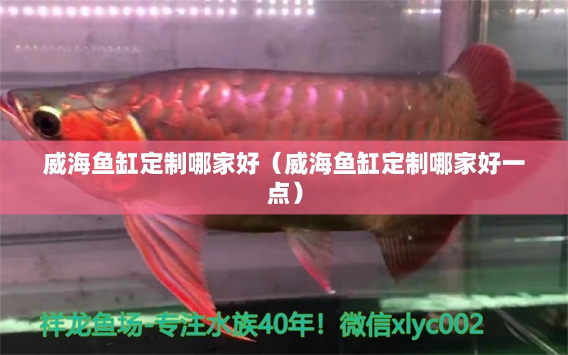 威海魚缸定制哪家好（威海魚缸定制哪家好一點(diǎn)）