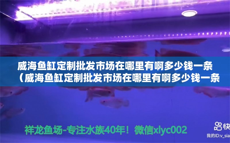 威海魚缸定制批發(fā)市場(chǎng)在哪里有啊多少錢一條（威海魚缸定制批發(fā)市場(chǎng)在哪里有啊多少錢一條）