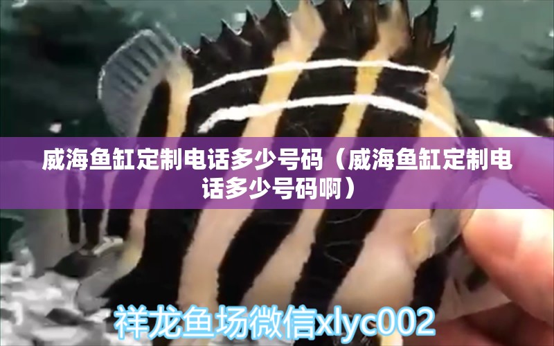 威海魚缸定制電話多少號碼（威海魚缸定制電話多少號碼?。? title=