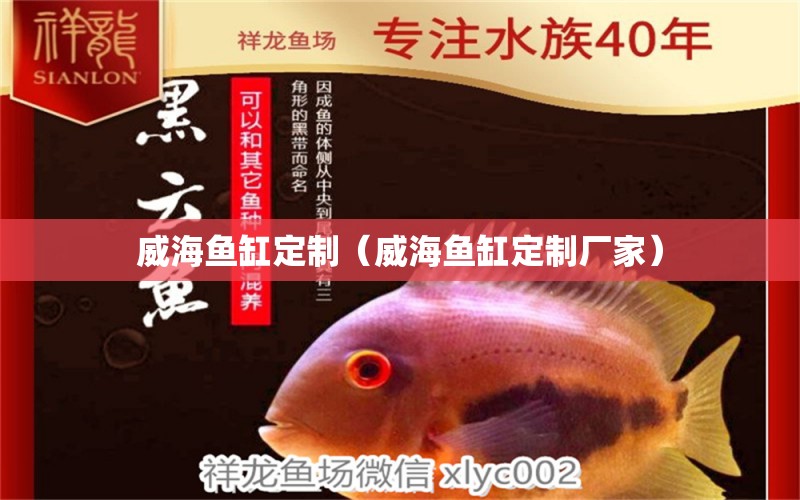 威海魚(yú)缸定制（威海魚(yú)缸定制廠家） 其他品牌魚(yú)缸