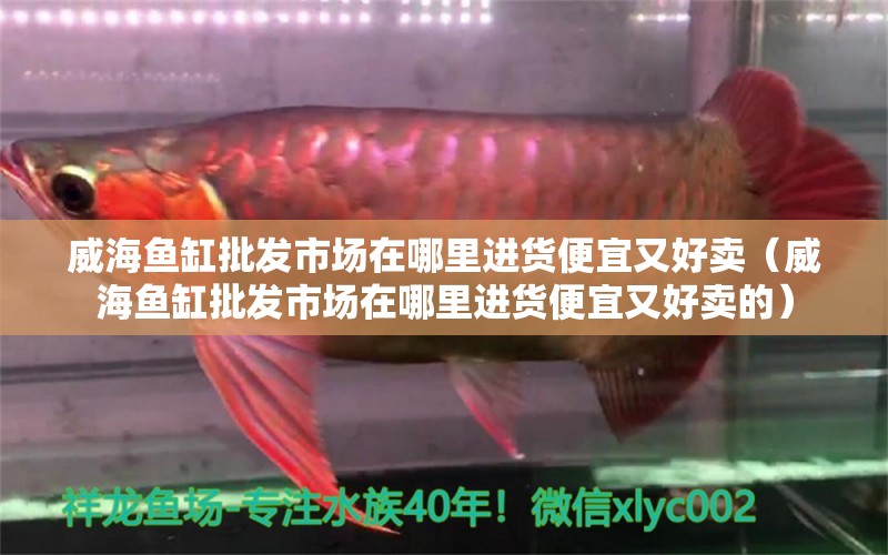 威海魚缸批發(fā)市場在哪里進貨便宜又好賣（威海魚缸批發(fā)市場在哪里進貨便宜又好賣的）