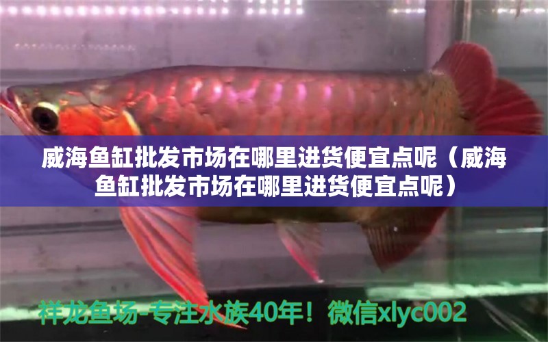 威海魚缸批發(fā)市場在哪里進(jìn)貨便宜點(diǎn)呢（威海魚缸批發(fā)市場在哪里進(jìn)貨便宜點(diǎn)呢） 速倍妥魚糧魚藥