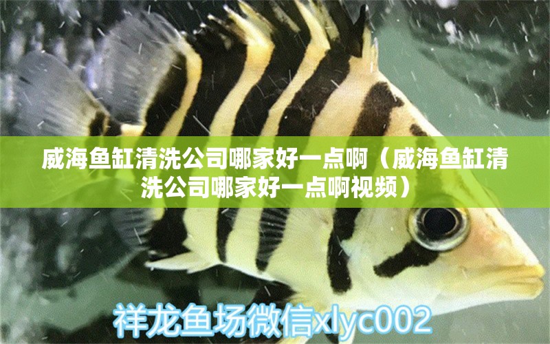 威海魚缸清洗公司哪家好一點(diǎn)?。ㄍｔ~缸清洗公司哪家好一點(diǎn)啊視頻）