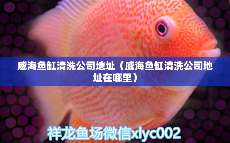 威海魚缸清洗公司地址（威海魚缸清洗公司地址在哪里）