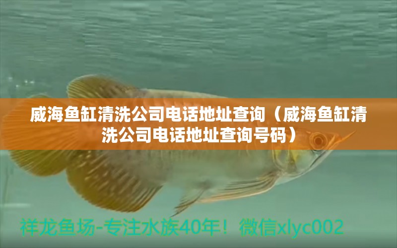 威海魚缸清洗公司電話地址查詢（威海魚缸清洗公司電話地址查詢號碼）