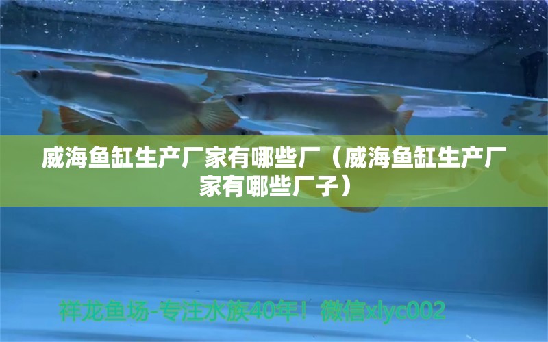 威海魚缸生產(chǎn)廠家有哪些廠（威海魚缸生產(chǎn)廠家有哪些廠子）