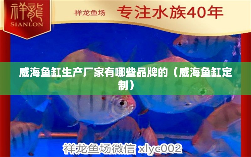 威海魚(yú)缸生產(chǎn)廠家有哪些品牌的（威海魚(yú)缸定制） 廣州觀賞魚(yú)批發(fā)市場(chǎng)