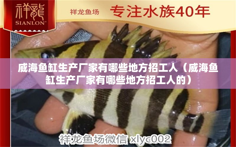 威海魚缸生產(chǎn)廠家有哪些地方招工人（威海魚缸生產(chǎn)廠家有哪些地方招工人的）