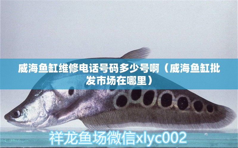 威海魚缸維修電話號碼多少號?。ㄍｔ~缸批發(fā)市場在哪里）