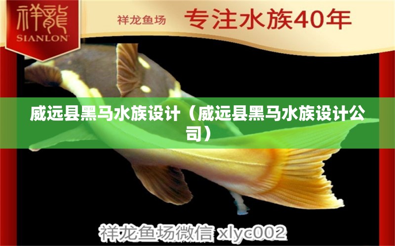 威遠(yuǎn)縣黑馬水族設(shè)計（威遠(yuǎn)縣黑馬水族設(shè)計公司）