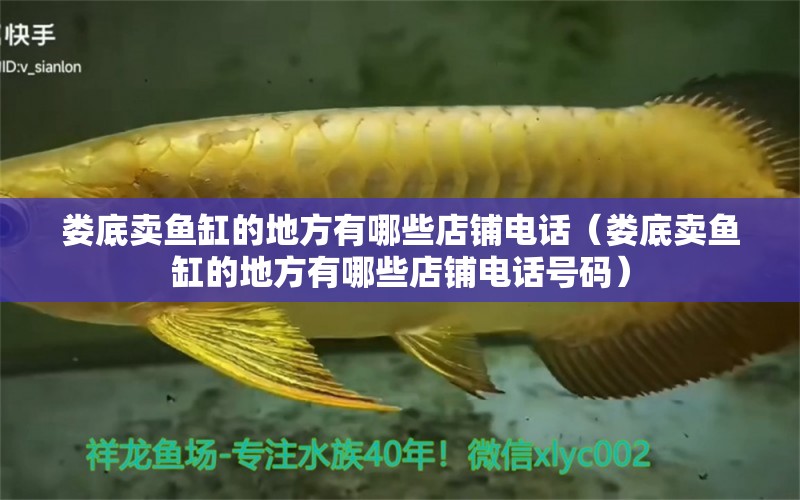 婁底賣魚(yú)缸的地方有哪些店鋪電話（婁底賣魚(yú)缸的地方有哪些店鋪電話號(hào)碼） 招財(cái)戰(zhàn)船魚(yú)