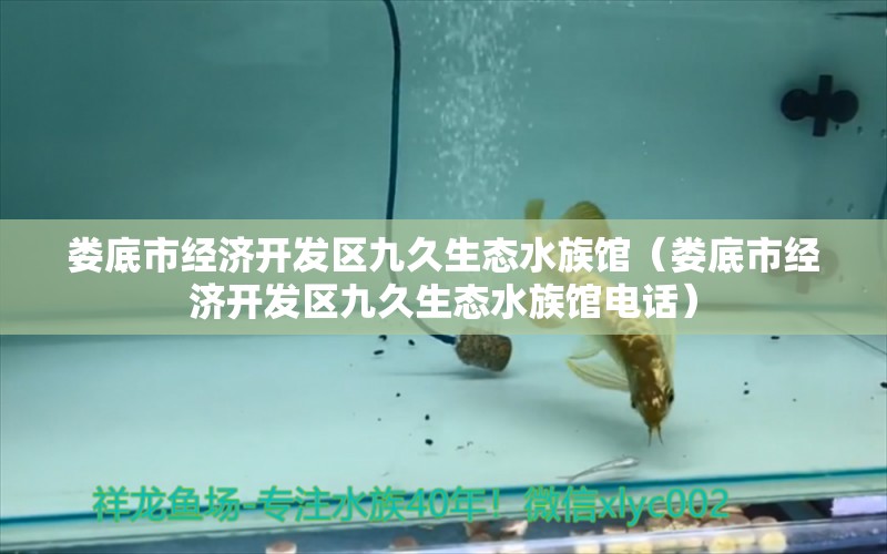 婁底市經(jīng)濟開發(fā)區(qū)九久生態(tài)水族館（婁底市經(jīng)濟開發(fā)區(qū)九久生態(tài)水族館電話）