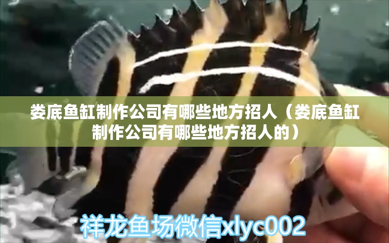 婁底魚(yú)缸制作公司有哪些地方招人（婁底魚(yú)缸制作公司有哪些地方招人的）