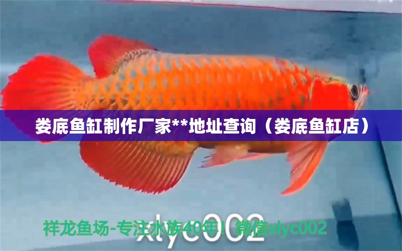 婁底魚缸制作廠家**地址查詢（婁底魚缸店） 祥龍水族醫(yī)院